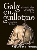 Galg en guillotine : Executies door de eeuwen heen