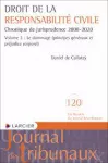 Droit de la responsabilité civile - cde jurisprudence 2008 - 2020 : volume 2 : le dommage (principes généraux et préjudice corporel)